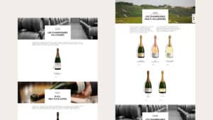 site viticole bruno paillard 2