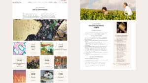 site viticole bruno paillard 3